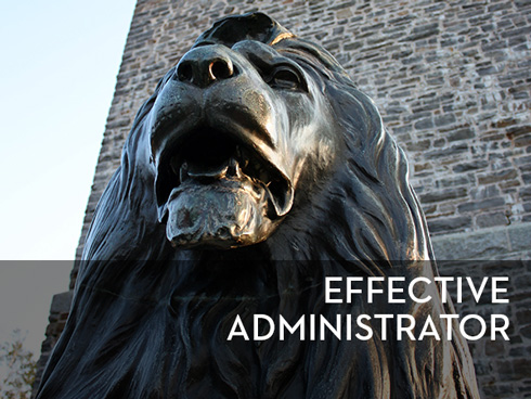 effective administrator
